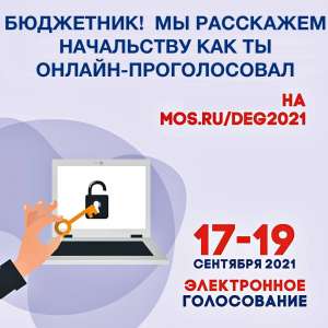 Тайны Дистанционного Электронного Голосования в России нет