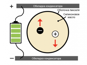 Как спасти разбитую читалку, если у вас прямые руки