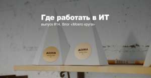 Крупнейшие заказчики в России — большой куш или головная боль? Опыт AGIMA