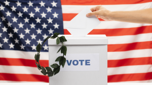 Избирательная система США глазами математика. Что нужно сделать, чтобы победить на президентских выборах 2024 года?