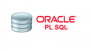 Формирование объектов PL/SQL для выгрузки отчётов в формате XLS из Formspider с помощью Java