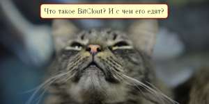 BitClout. Котики осваивают новую криптовалюту и соцсеть