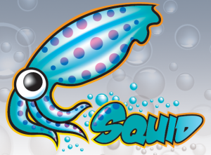 Прозрачный Squid с SSL-Bump для Gentoo с nft