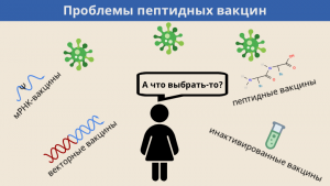 Проблемы пептидных вакцин