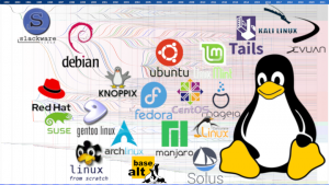 Многообразие Linux-дистрибутивов