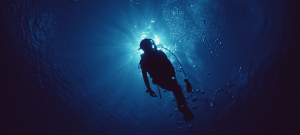 Шепот глубин: насколько плохо мы слышим под водой?