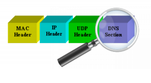 Структура DNS пакета