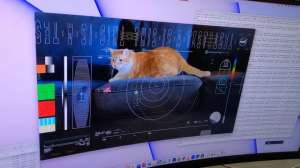 НАСА впервые передало на Землю UHD-видео (с котиком!) из дальнего космоса по лазерному лучу