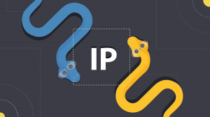Получаем ip-адрес из requests (python)