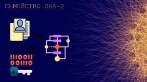 Реализация алгоритмов хеширования семейства SHA-2