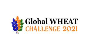 GLOBAL WHEAT CHALLENGE 2021 или как накормить весь мир