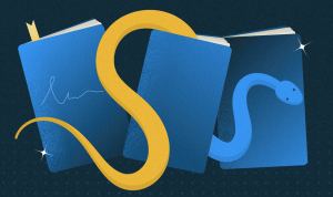 7 полезных книг по Python для старта и развития навыков: выбор сотрудников Selectel