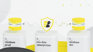 Представляем nxs-data-anonymizer — удобный инструмент для анонимизации баз данных