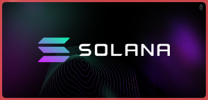 Что такое Solana? Масштабируемая децентрализованная сеть для DApps