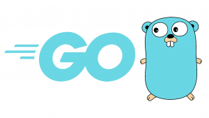 Почему Golang подходит в качестве первого языка программирования?