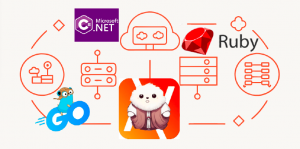 Amvera добавила поддержку Go, Ruby и С# (dotnet и mono) окружений