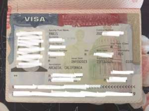 Как получить визу таланта О-1 в США: требования, критерии, личный опыт