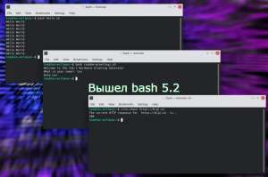 Вышел bash 5.2