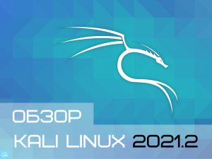 Обзор Kali Linux 2021.2