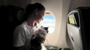 «Аэрофлот» запустил на всех рейсах услугу перевозки животных в контейнере на соседнем пассажирском кресле