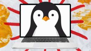 Ультрабуков на Linux становится больше: вышел Fedora Slimbook 14. Что ещё предлагает рынок?