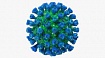 Клин клином: использование вируса PIV5 для создания вакцины против MERS-CoV и, возможно, против SARS-CoV-2
