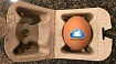 Не храните сразу все свои яйца в одной корзине