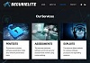 Хакеры создали подставную фирму SecuriElite, чтобы атаковать исследователей безопасности и других хакеров