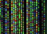 Система хранения данных на основе ДНК: реально ли это и как работает?