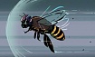 Наука в мире животных: как и почему летают пчелы и шмели
