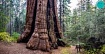 OpenPGP переписывают на Rust: проект Sequoia