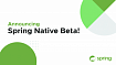 Релиз Spring Native Beta