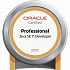 Экзамен 1z0-819 Oracle Certified Professional: Java 11 Developer — заметки о сдаче