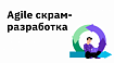 Agile скрам-разработка