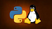 Как настроить python в Linux под свой проект?