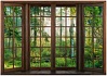 Окна будущего: прозрачная древесина вместо стекла