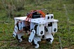 Распечатанный четвероногий робот под управлением Arduino