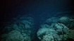 Бактерии-экстремалы: как выжить ниже дна океана