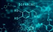 Влияние дофамина на организм: как работает и как этим управлять