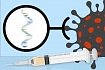 О чем вы много думали, но боялись узнать #2 — мРНК вакцина, выработка имунитета, S-белок
