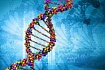 Поиск родственников через тест ДНК. Часть 1 – Как ДНК может помочь узнать предков?