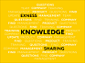 Заметки knowledge manager'a. Как работает управление знаниями в Exness