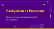 Pachyderm от Poorman: Нужны ли нам корпоративные ML- платформы?