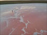 Про антилопу в противогазе и розовые солёные озёра