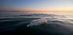 Грязный буй: динамика компонентов пластиковых отходов в океанической среде