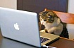 9 советов по использованию библиотеки Cats в Scala