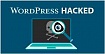 Различные методы брутфорс атак WordPress