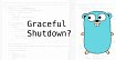 Пишем сервис на GO. Runtime контроллер и Graceful Shutdown