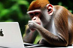 Monkey patching в Go, или грабли от Apple