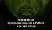 Асинхронное программирование в Python: краткий обзор